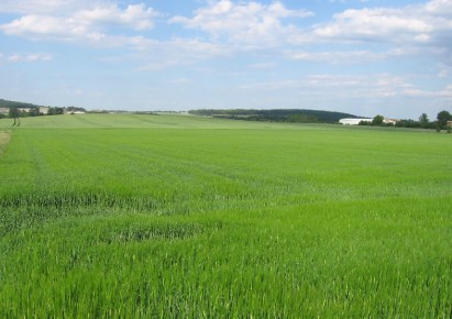 działka na sprzedaż - Strzegom