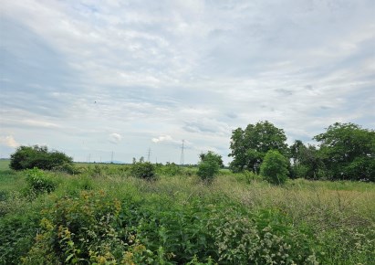 działka na sprzedaż - Dobromierz