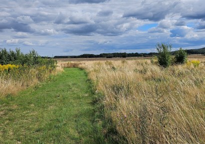 działka na sprzedaż - Dobromierz