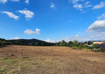 działka na sprzedaż - Strzegom